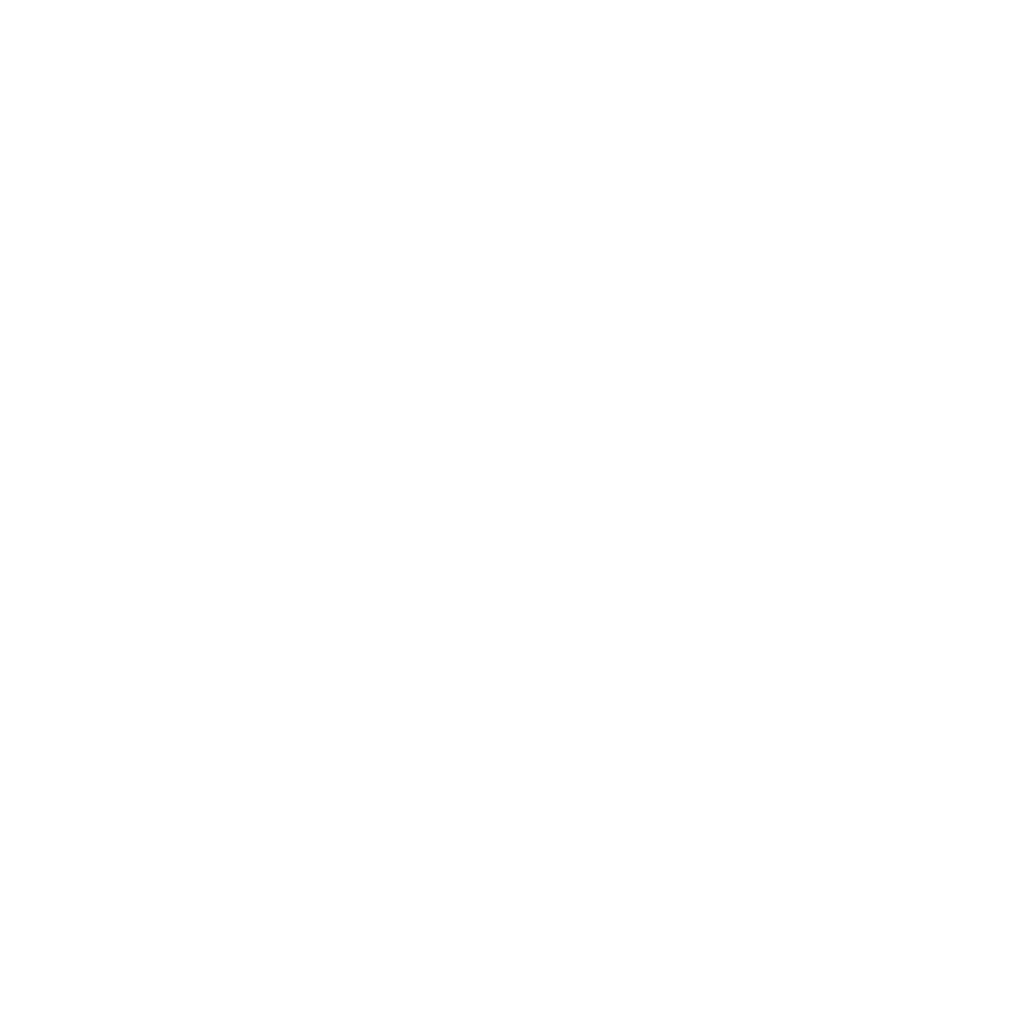 DenverArtMuseum_Logo_White
