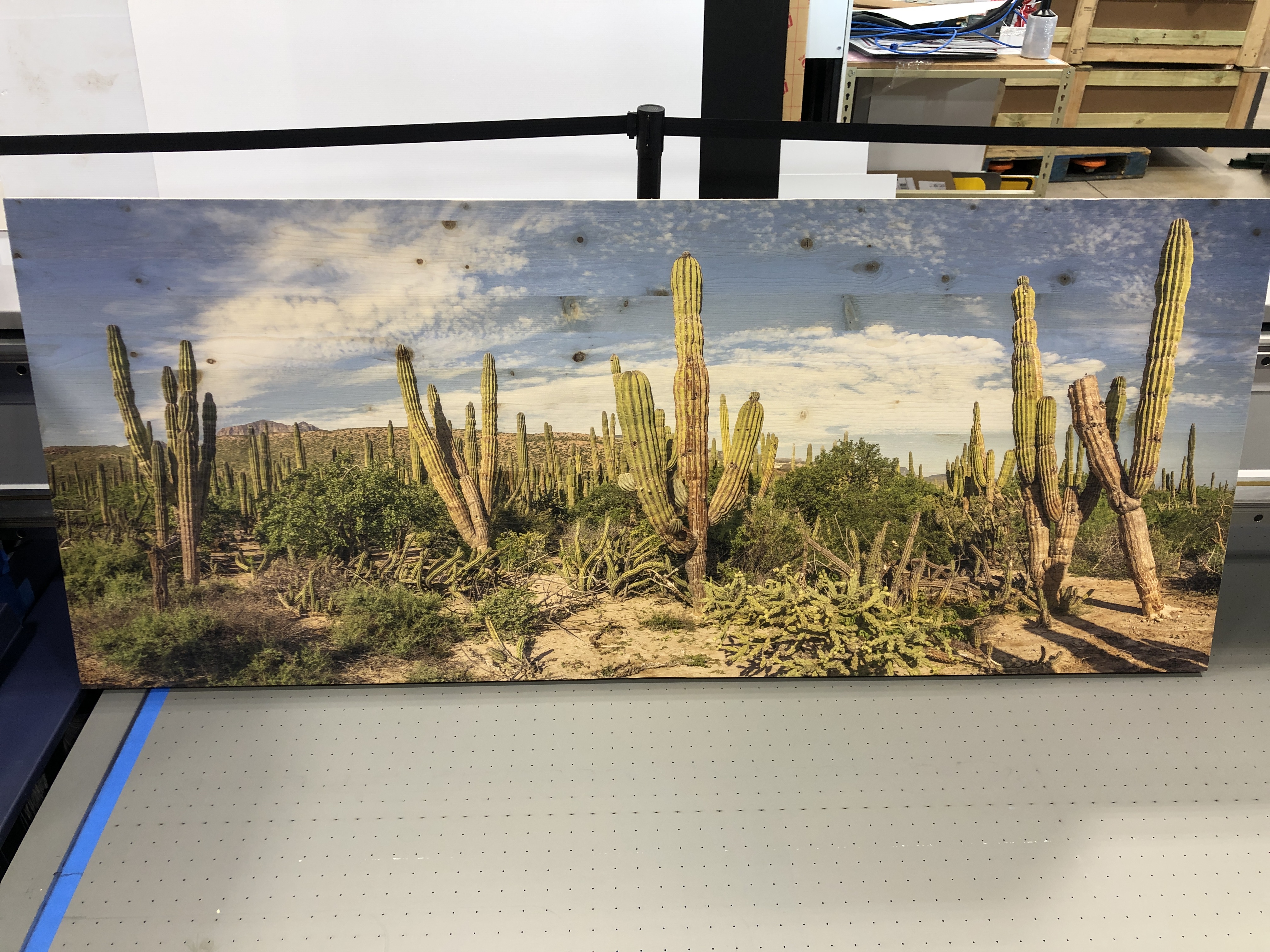 UV printing on wood_cactus